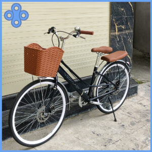 xe đạp vicky lady bánh 26 cho nữ giá rẻ