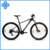Xe đạp địa hình MTB GIANT Talon 29 4 phanh đĩa, bánh 29 bản 2024